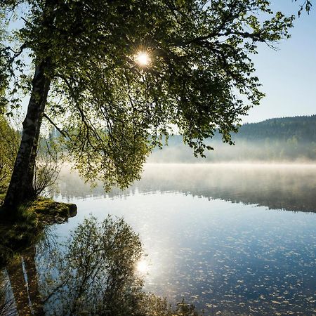 Ferienwohnung Am Schwellenweiher 펠트베르크 외부 사진