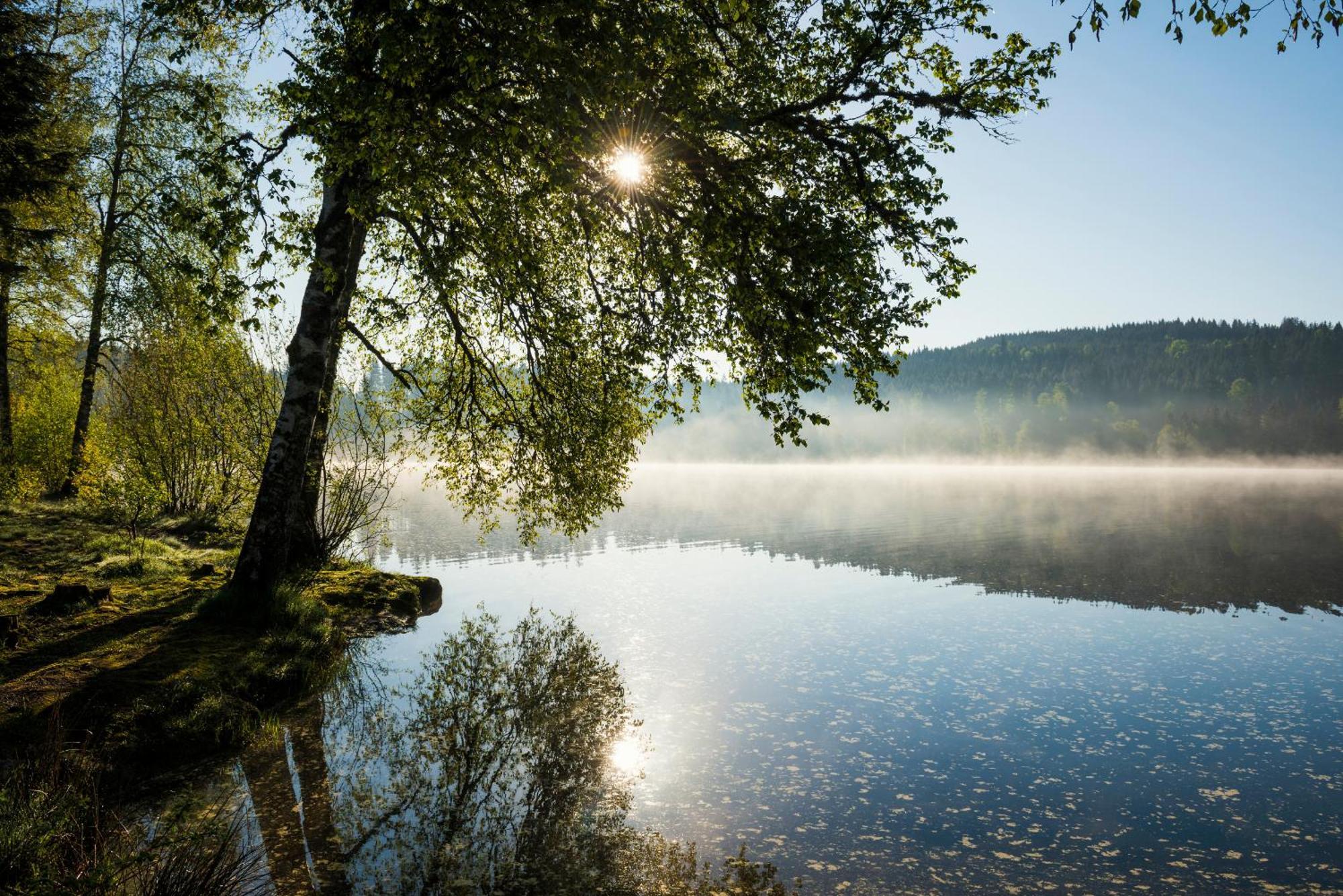 Ferienwohnung Am Schwellenweiher 펠트베르크 외부 사진