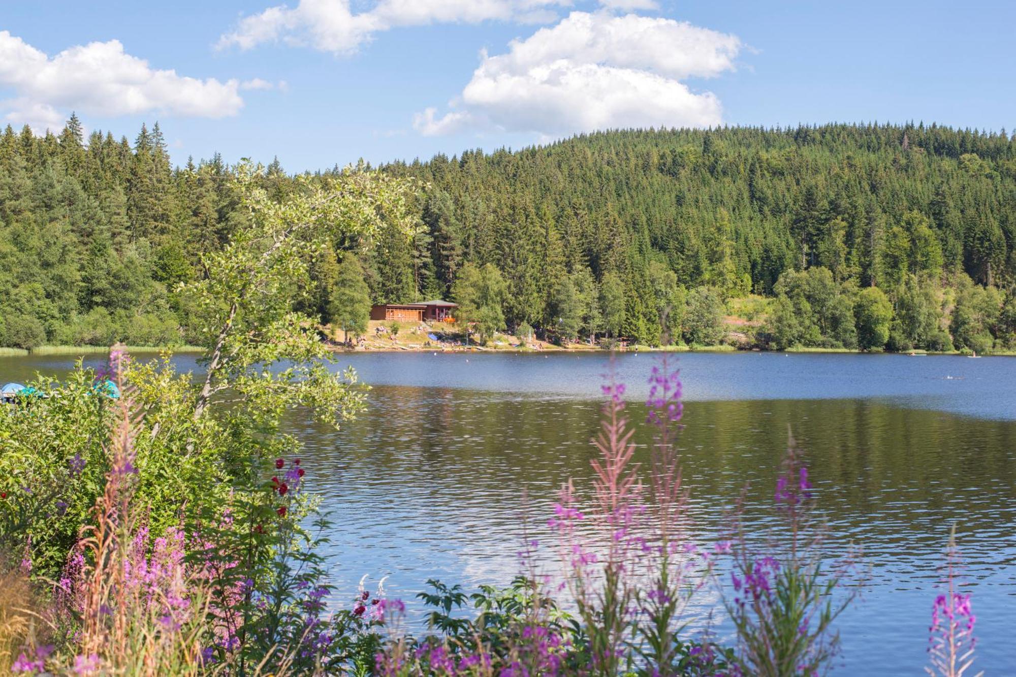 Ferienwohnung Am Schwellenweiher 펠트베르크 외부 사진